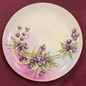 Vintage MZ Austria 6” Berry Design Plate
